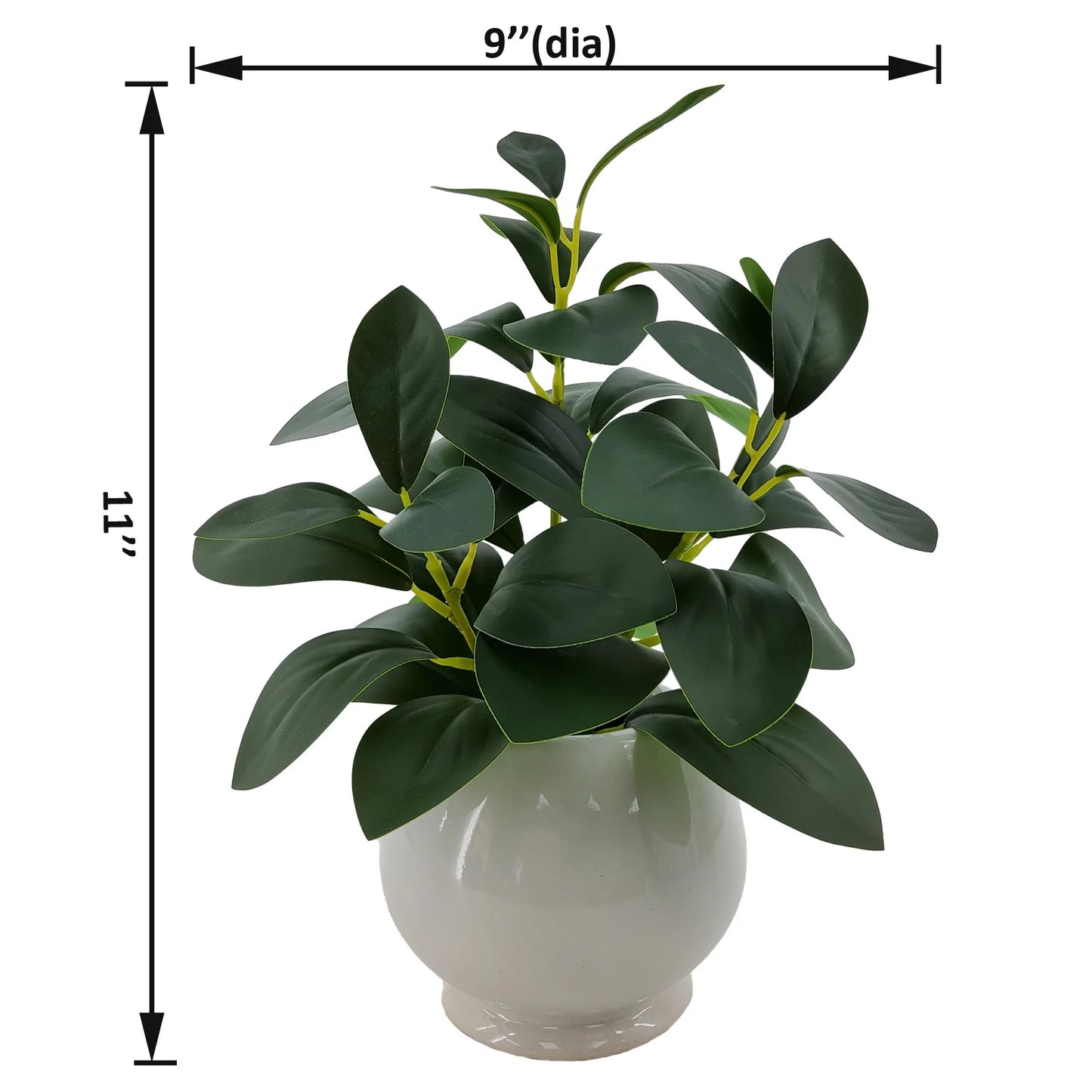 11” Indoor Artificial Peperomia Plant in White Color Ceramic Pot