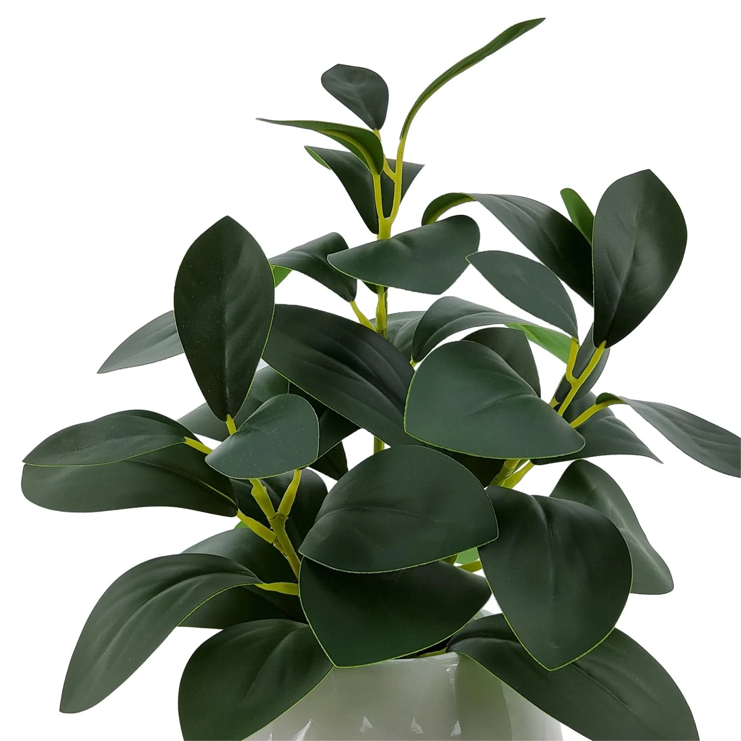 11” Indoor Artificial Peperomia Plant in White Color Ceramic Pot