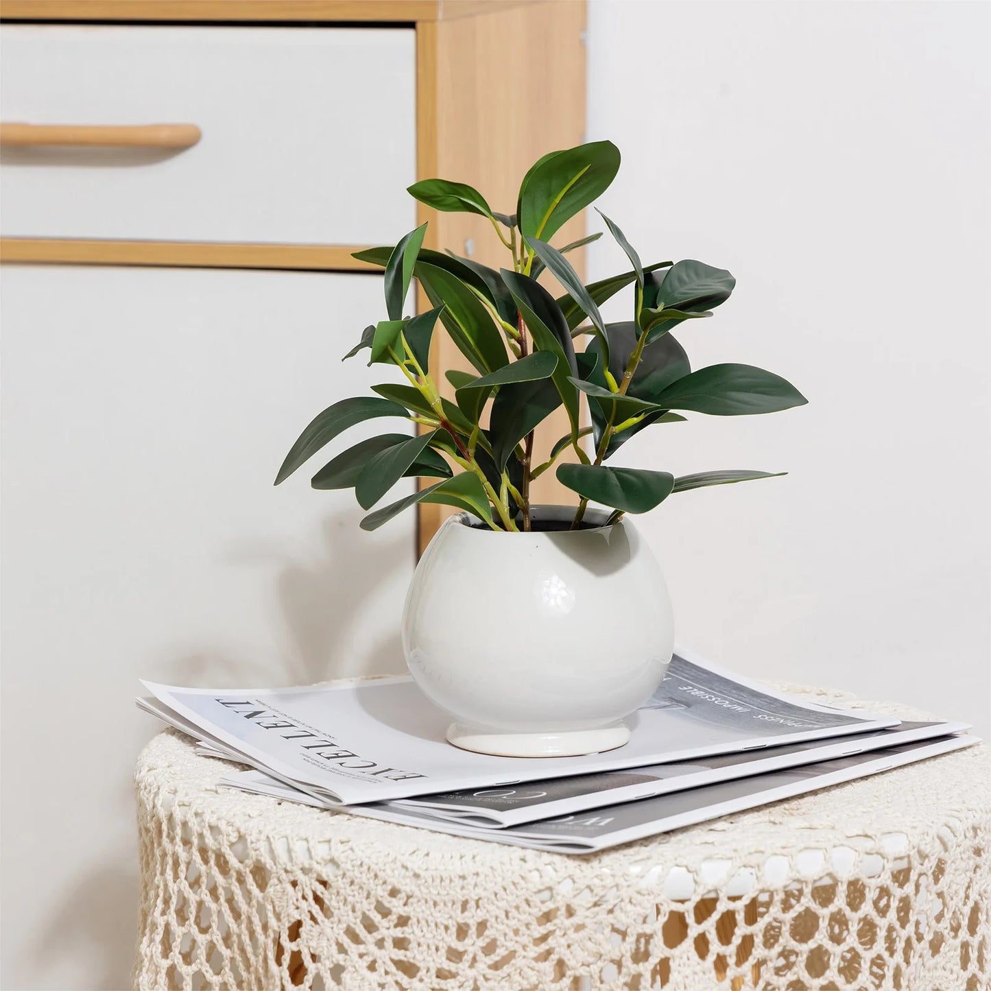11” Indoor Artificial Peperomia Plant in White Color Ceramic Pot
