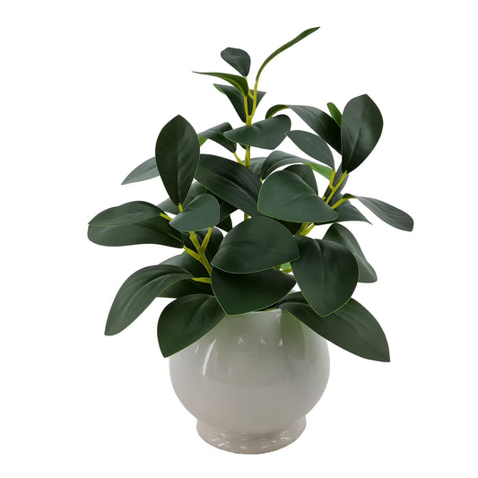 11” Indoor Artificial Peperomia Plant in White Color Ceramic Pot