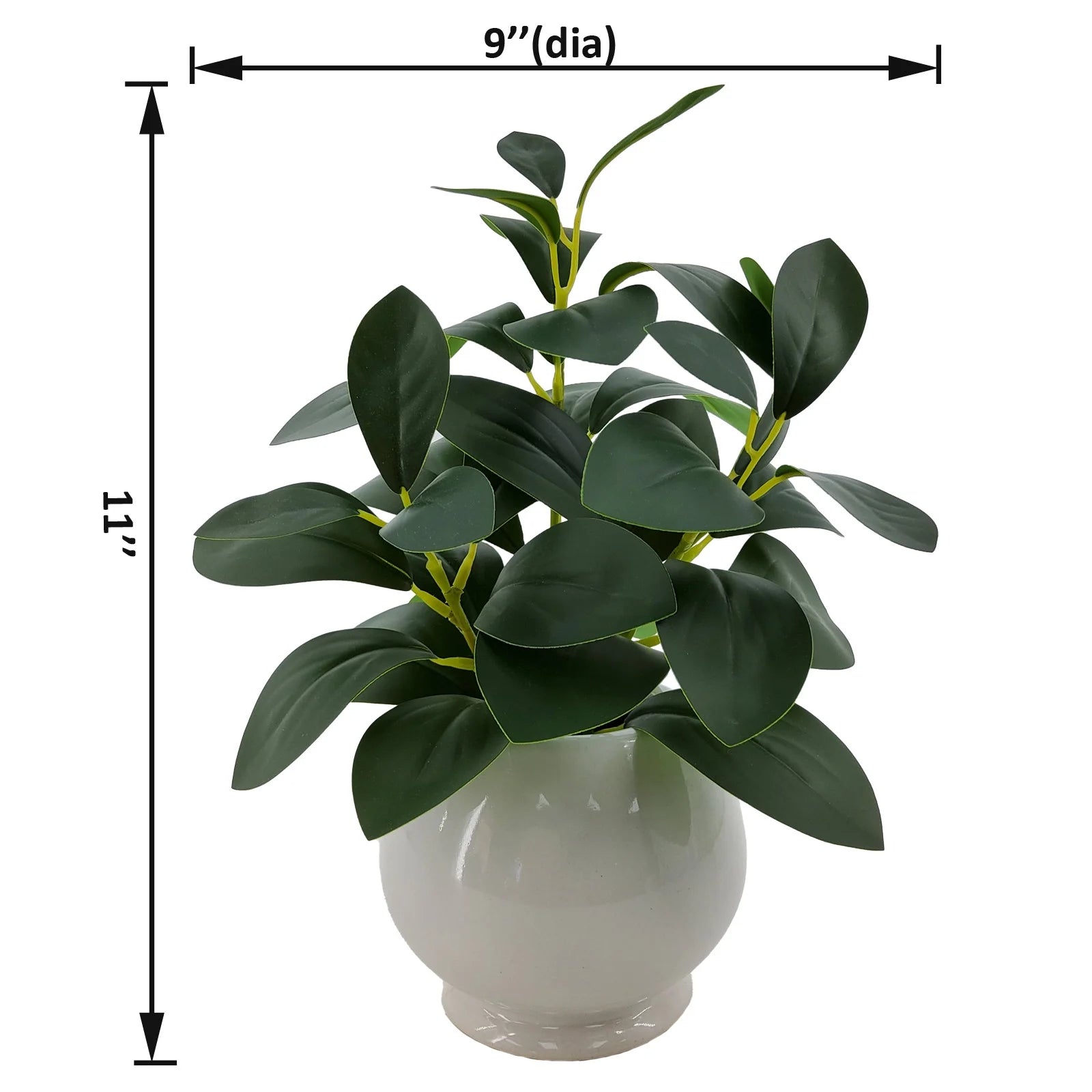 11” Indoor Artificial Peperomia Plant in White Color Ceramic Pot