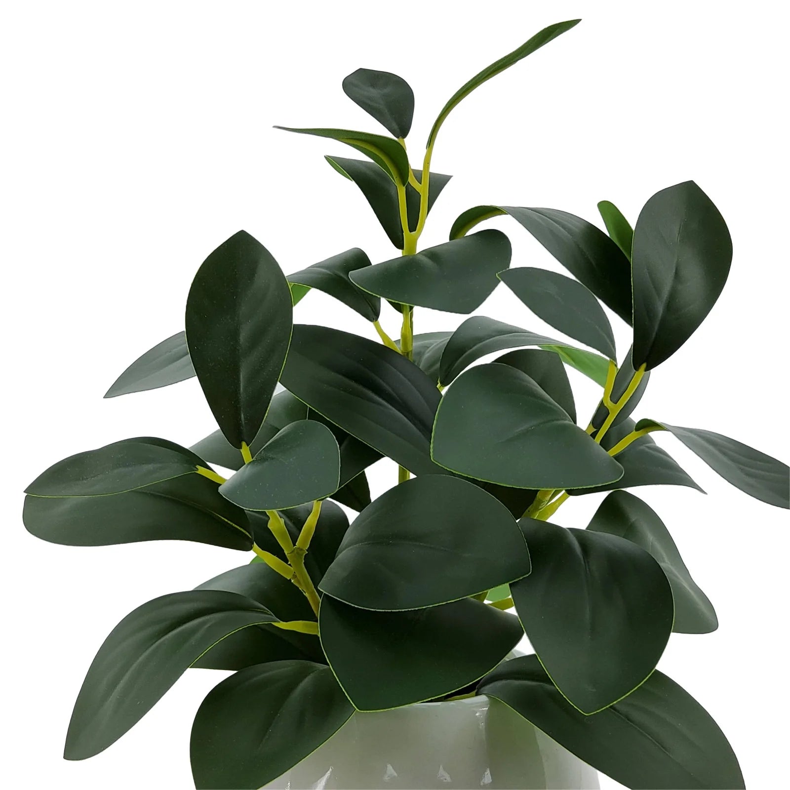 11” Indoor Artificial Peperomia Plant in White Color Ceramic Pot