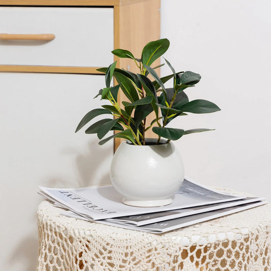 11” Indoor Artificial Peperomia Plant in White Color Ceramic Pot